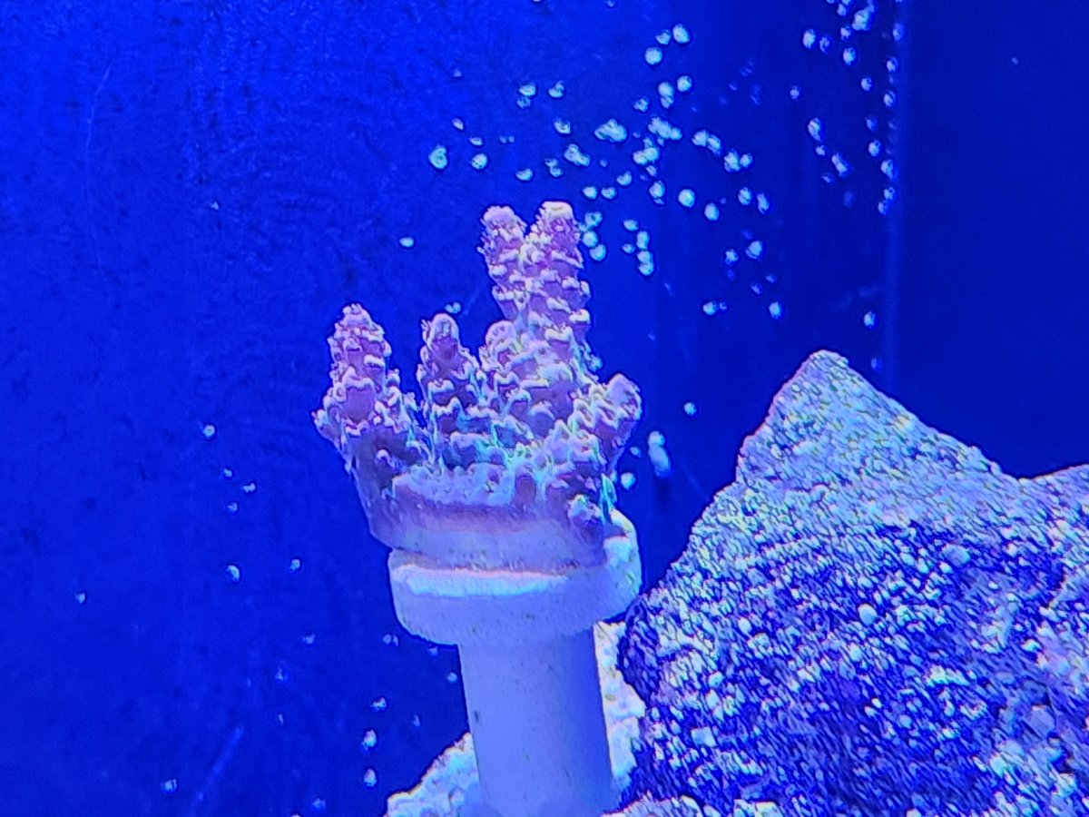 20230505_160957.jpg