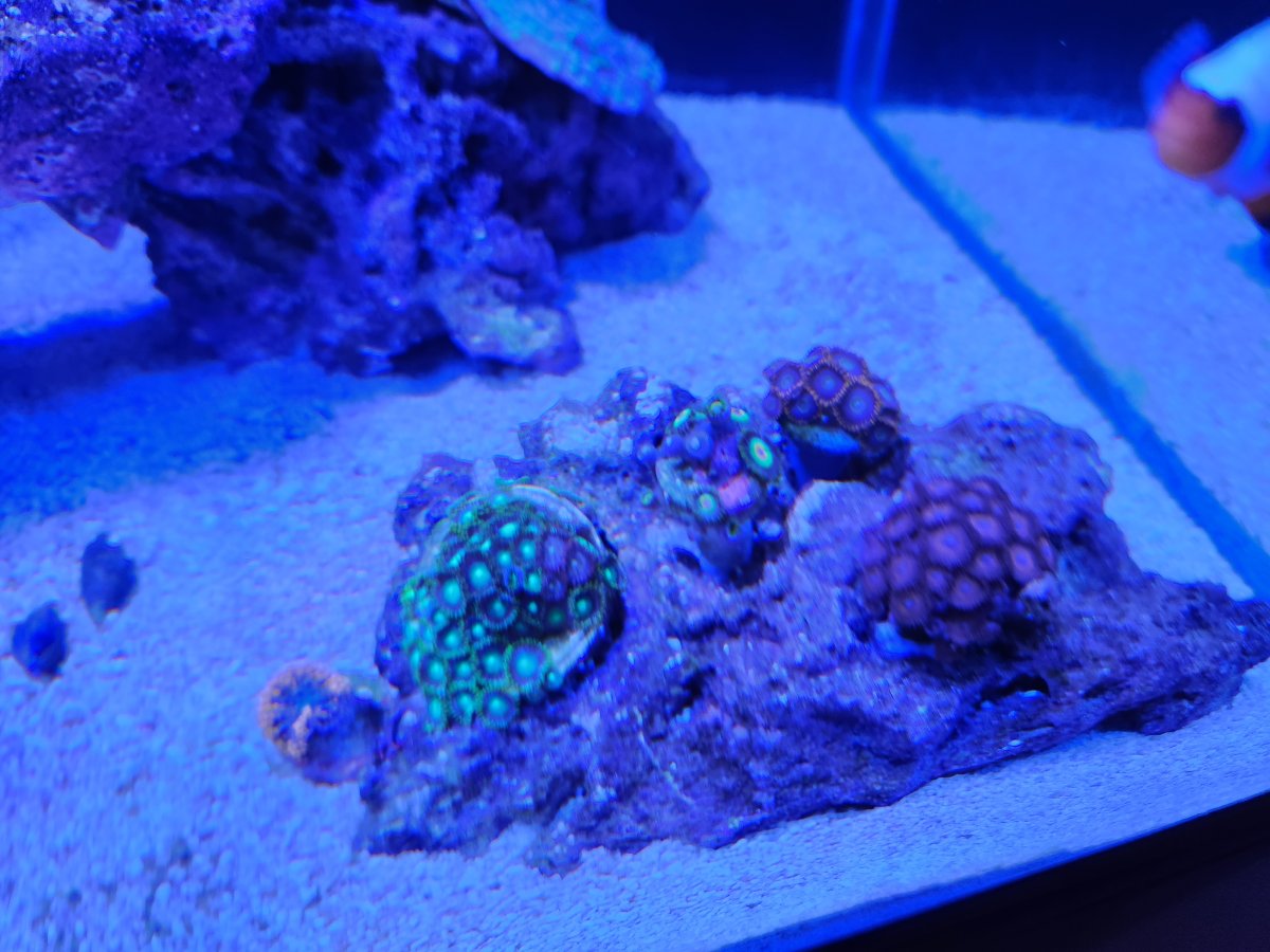 20230508_150141.jpg