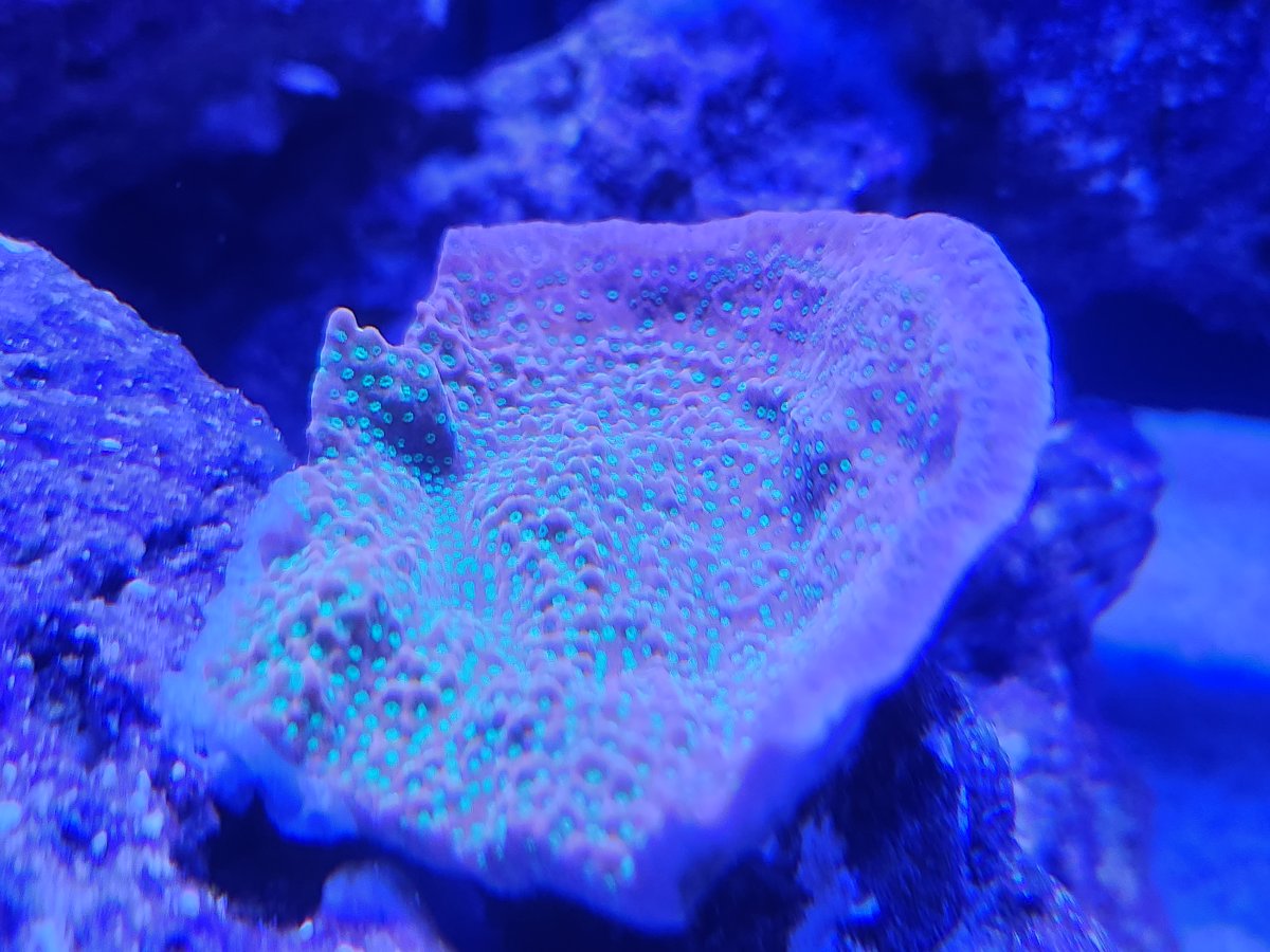 20230508_204741.jpg