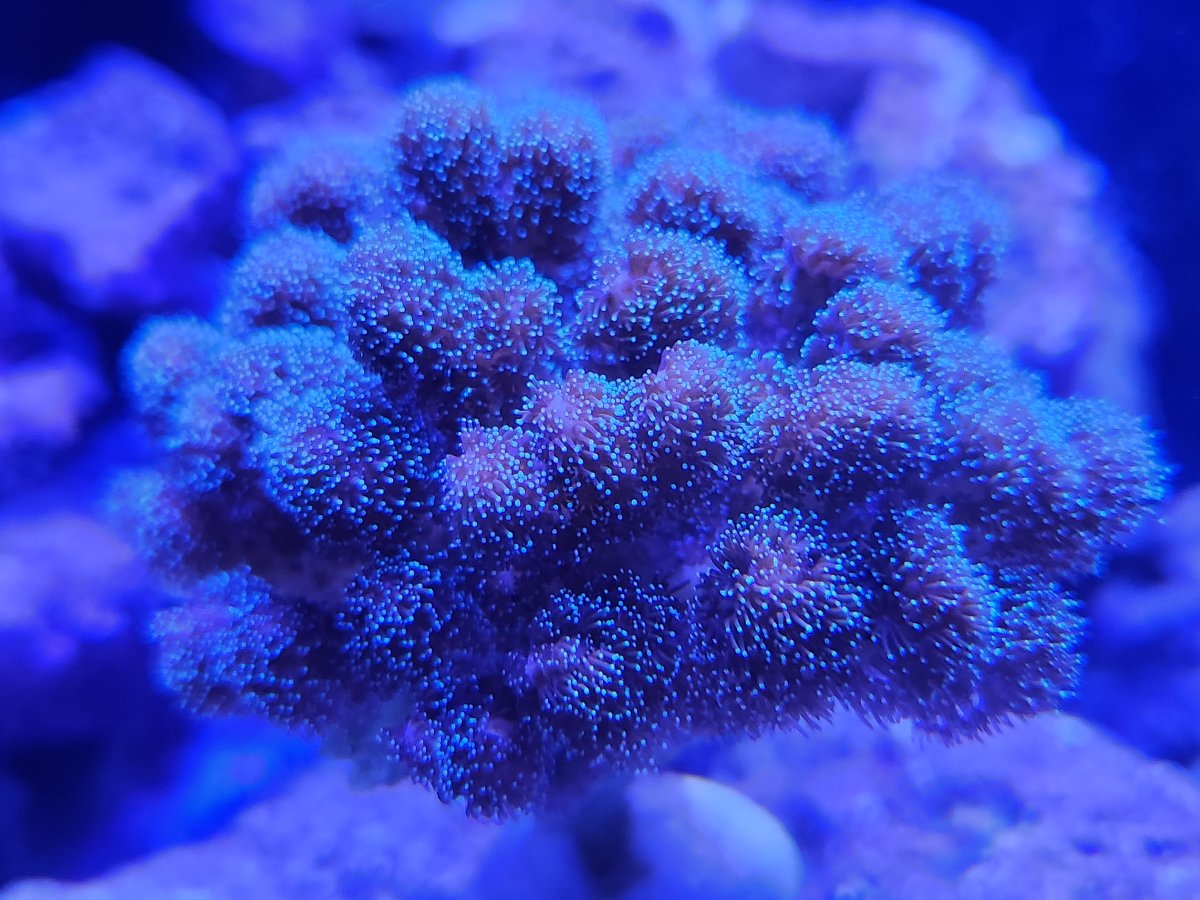 20230508_204745.jpg