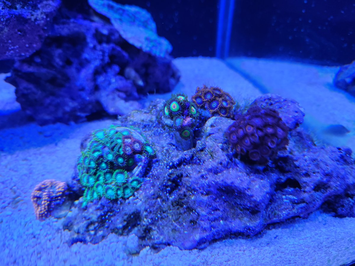 20230610_175846.jpg