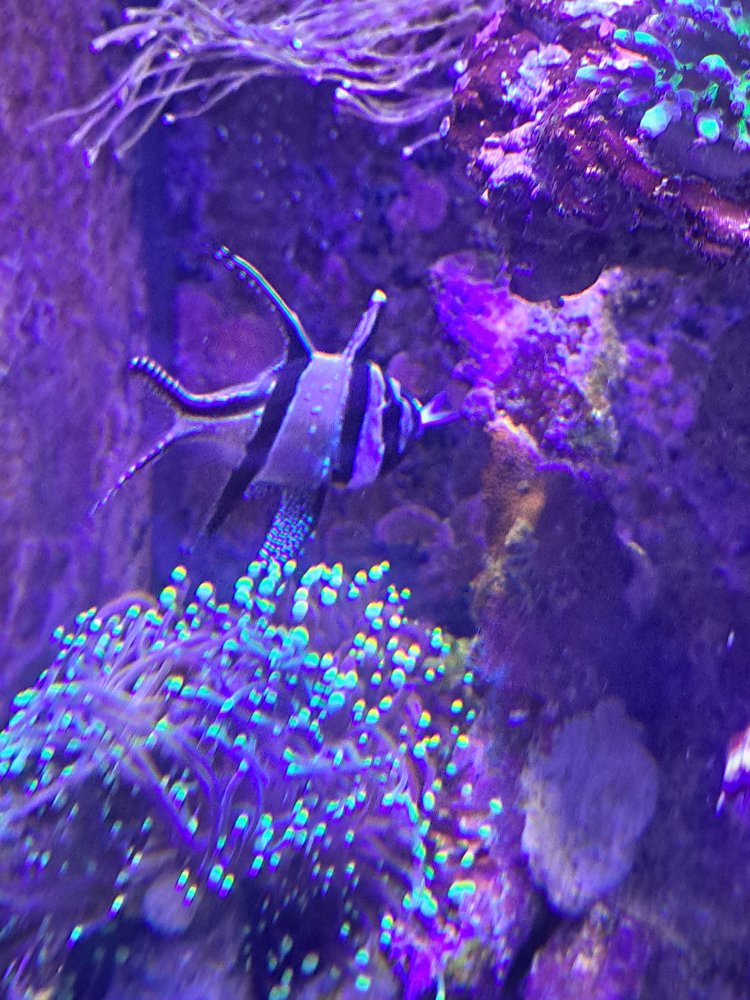 20230612_190522.jpg