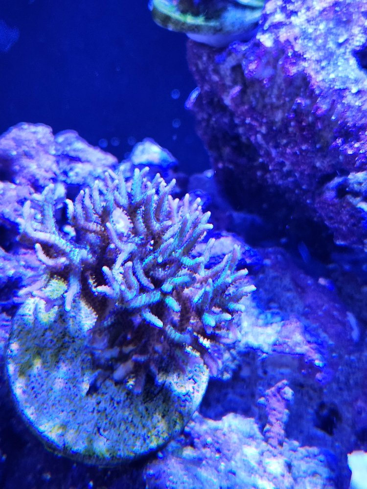 20230704_172431.jpg