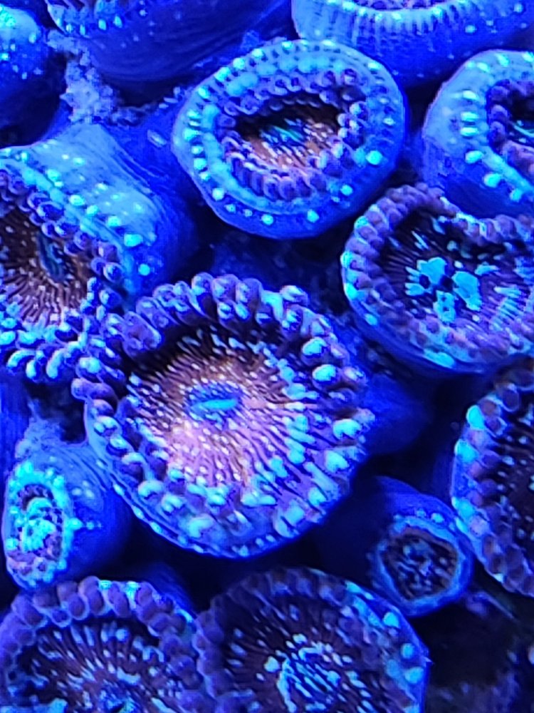 20230704_173025.jpg