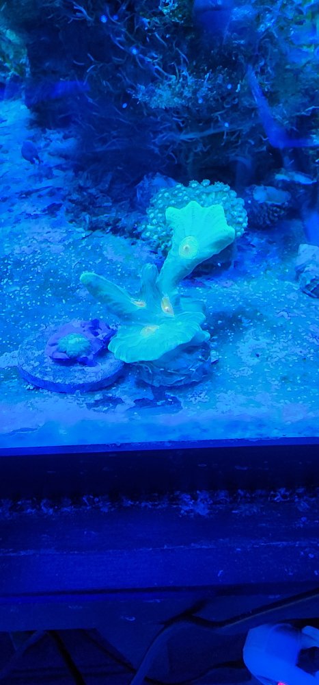 20230708_080551.jpg