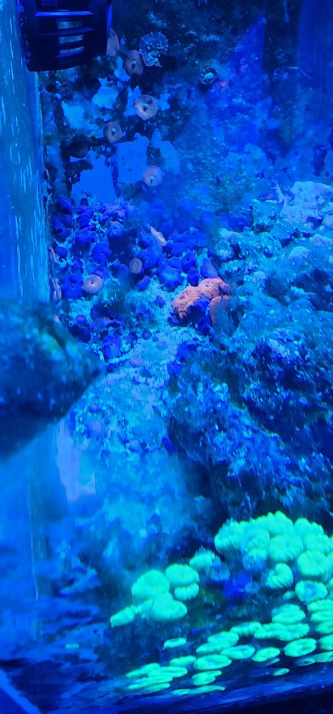 20230708_080659.jpg