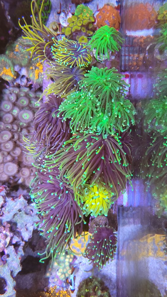 20230709_120800.jpg