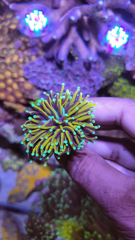 20230709_121405.jpg