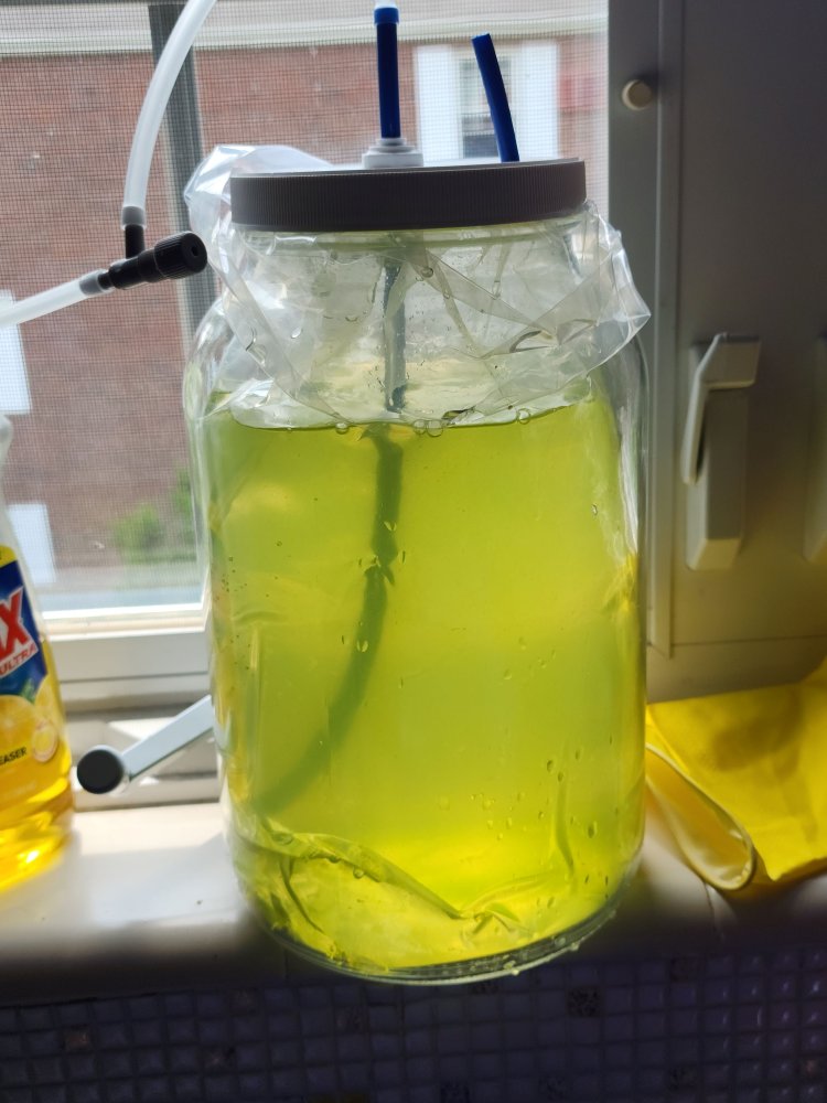 20230719_133514.jpg