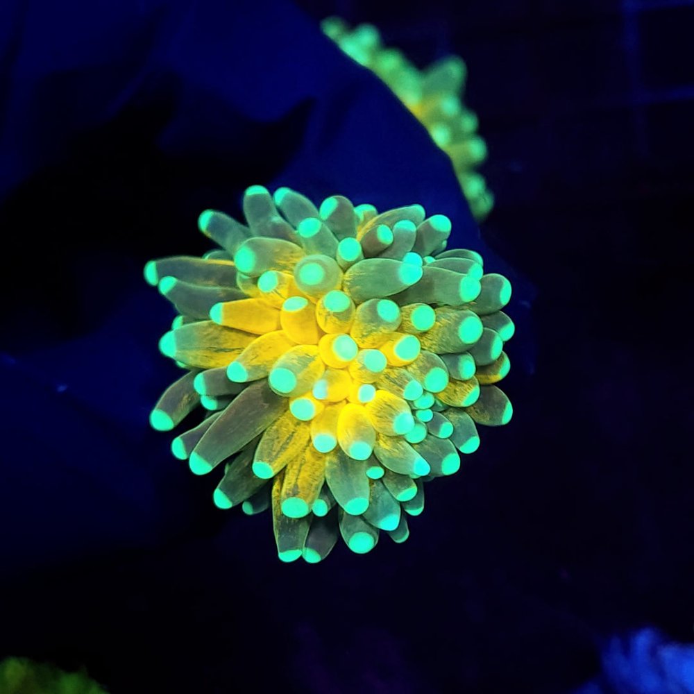 20230811_124630_2.jpg