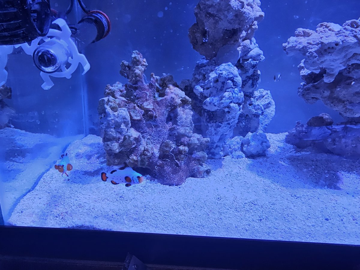 20230911_084341.jpg