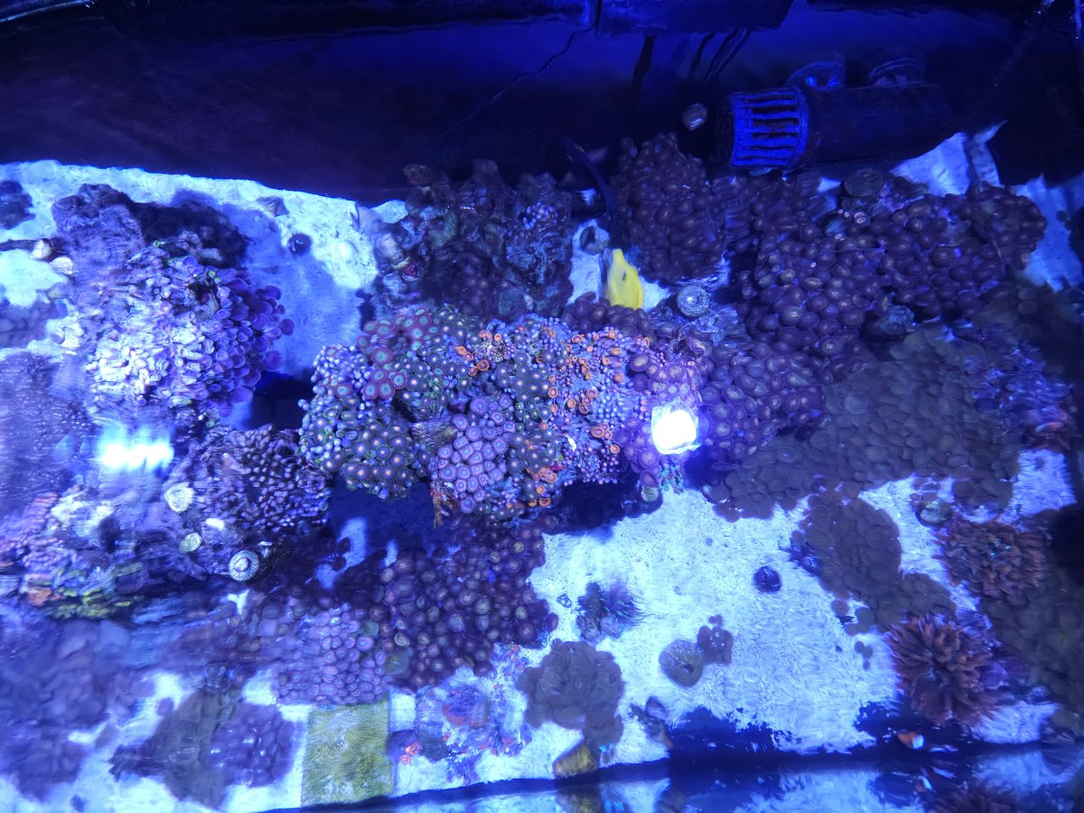 20231021_115132.jpg