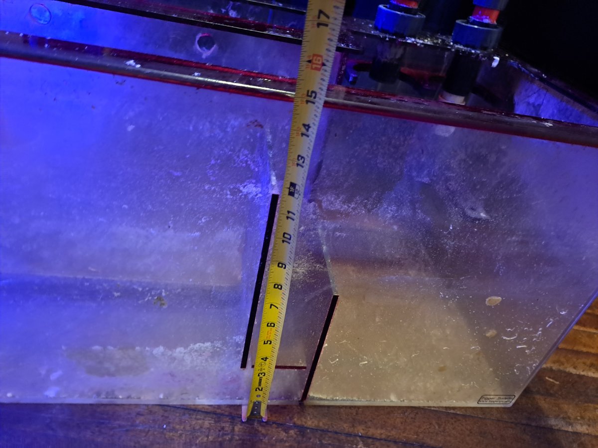 20231128_171516.jpg