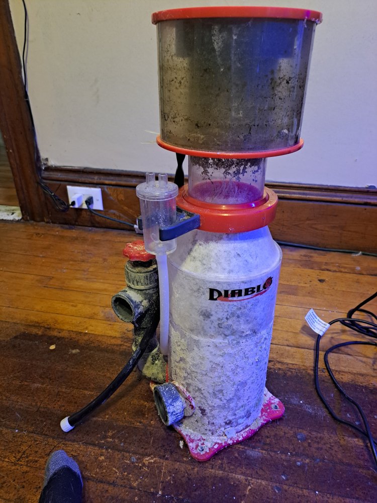 20231213_154315.jpg
