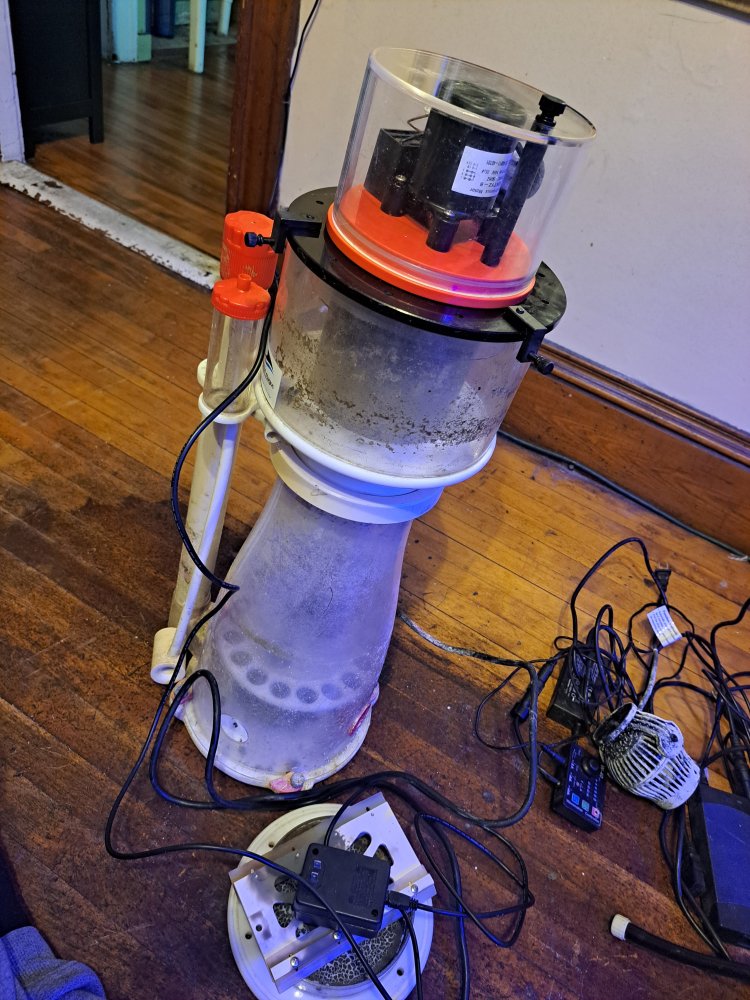 20231213_154407.jpg