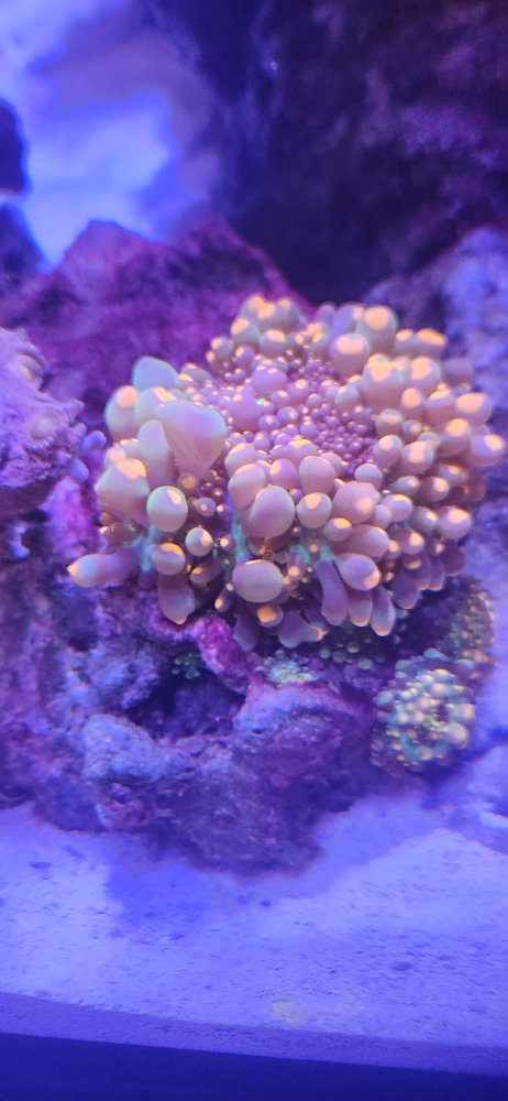 20240102_153533.jpg
