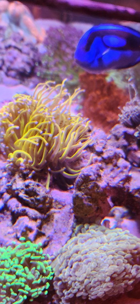 20240309_140532.jpg