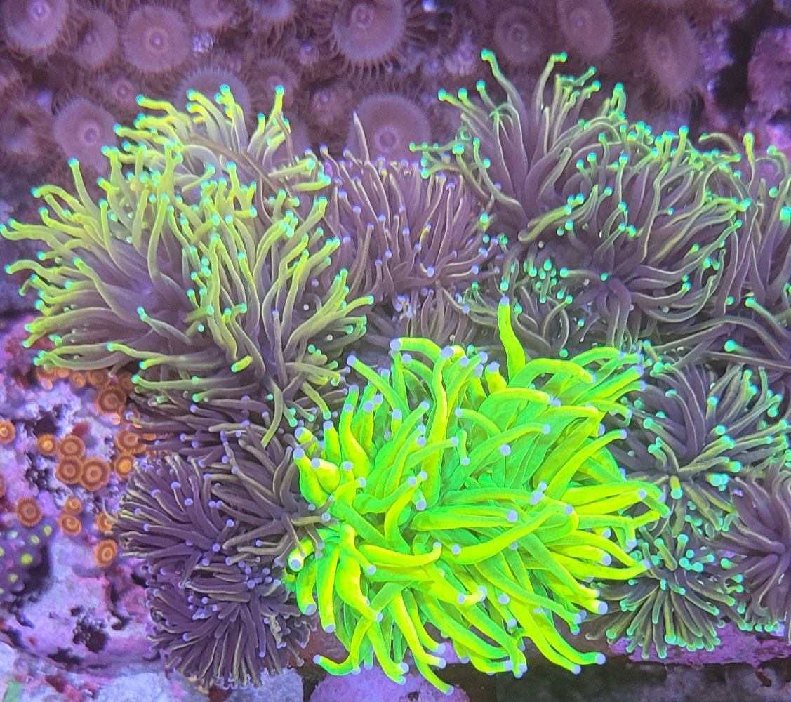 20240818_112553.jpg
