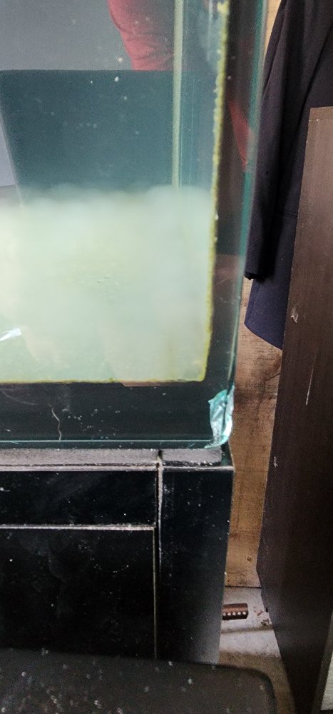 20240902_105709.jpg
