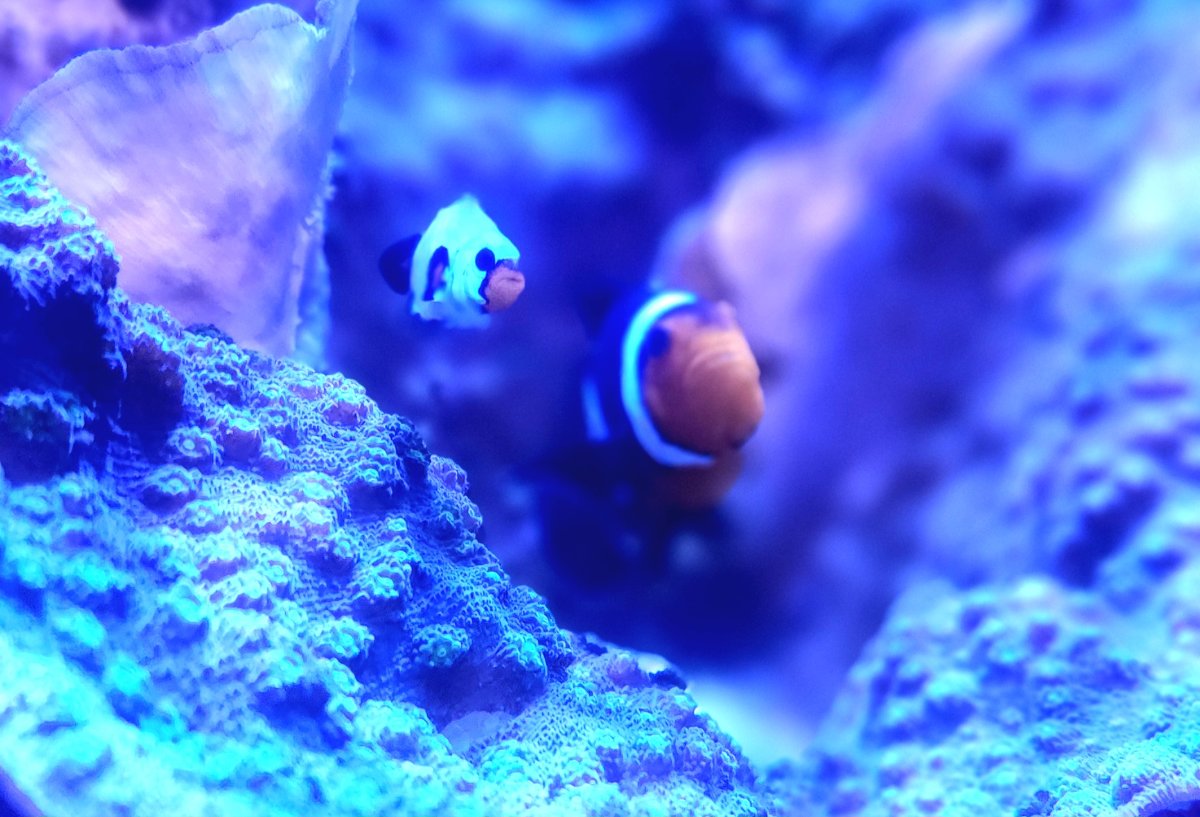 20241013_162053.jpg
