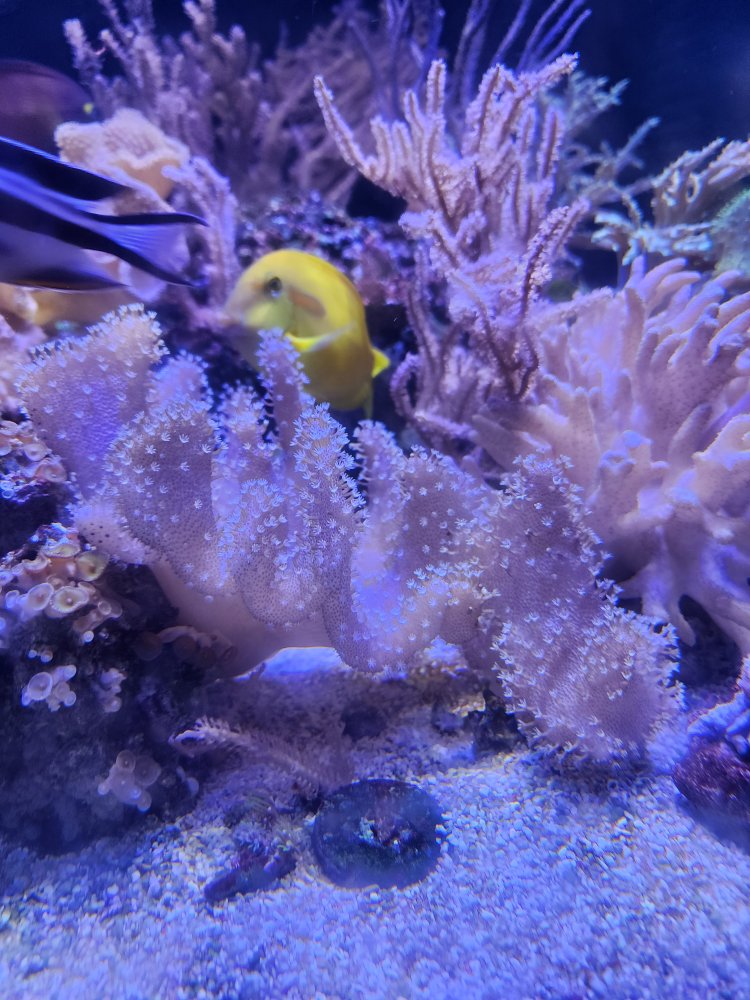 20241027_173455.jpg