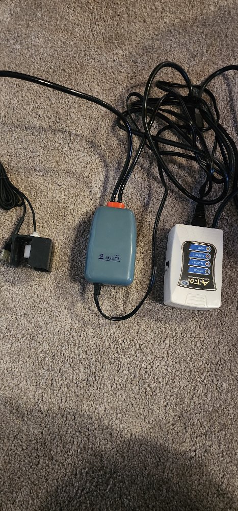 20241119_075657.jpg