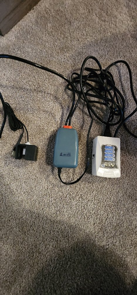 20241119_075701.jpg