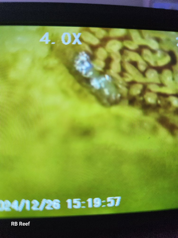 20241226_152013.jpg