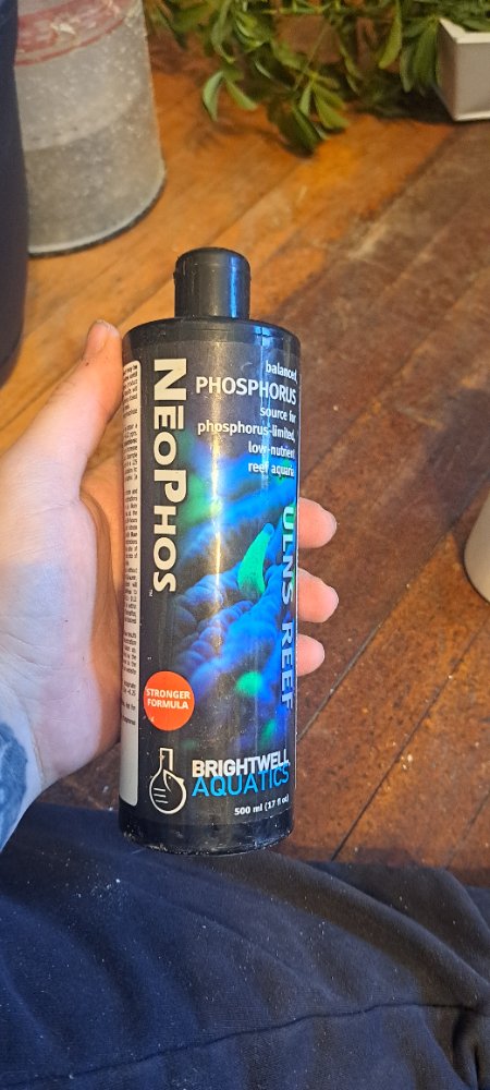 20241230_134003.jpg