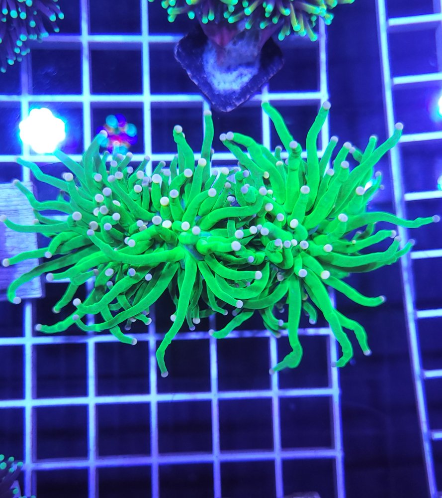 20250125_171713.jpg