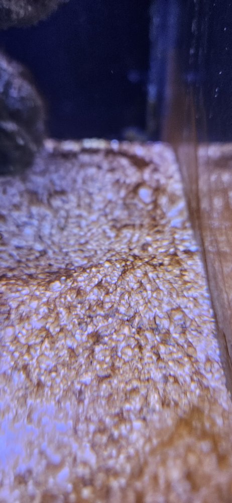 20250215_094323.jpg