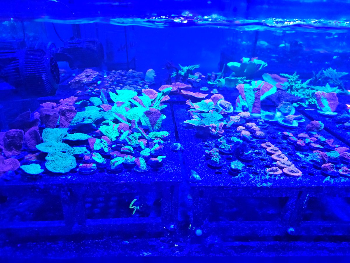 20250221_090317.jpg