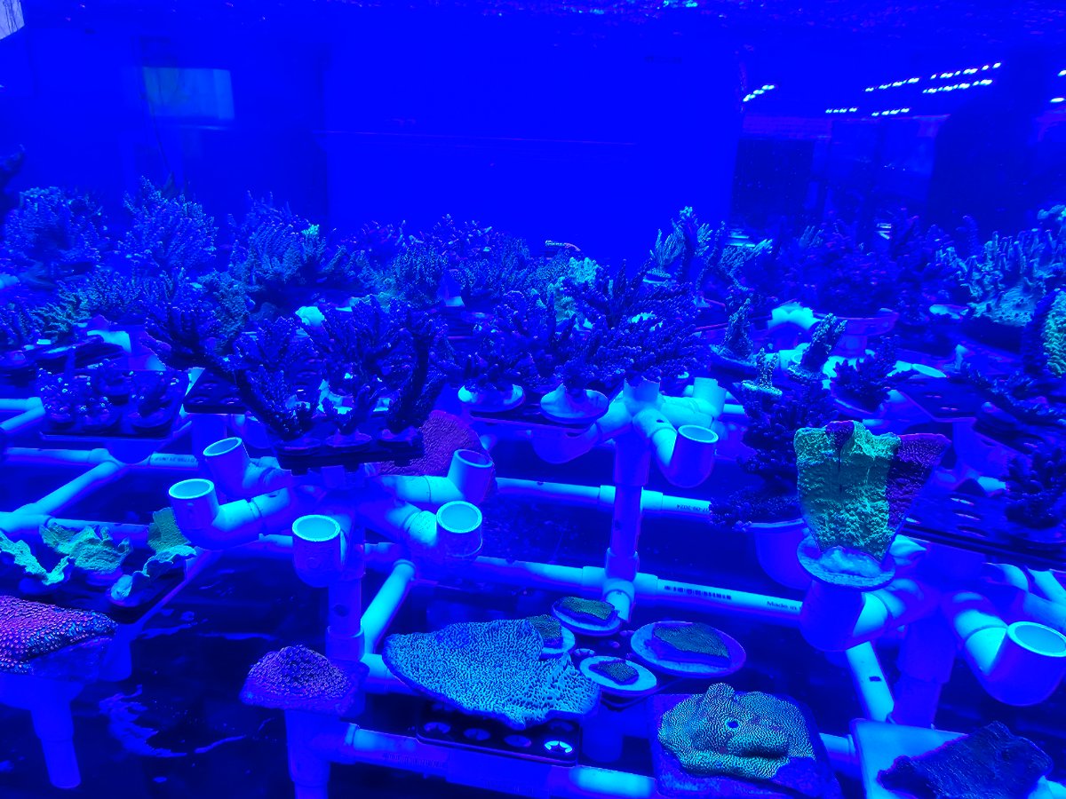 20250221_090458.jpg