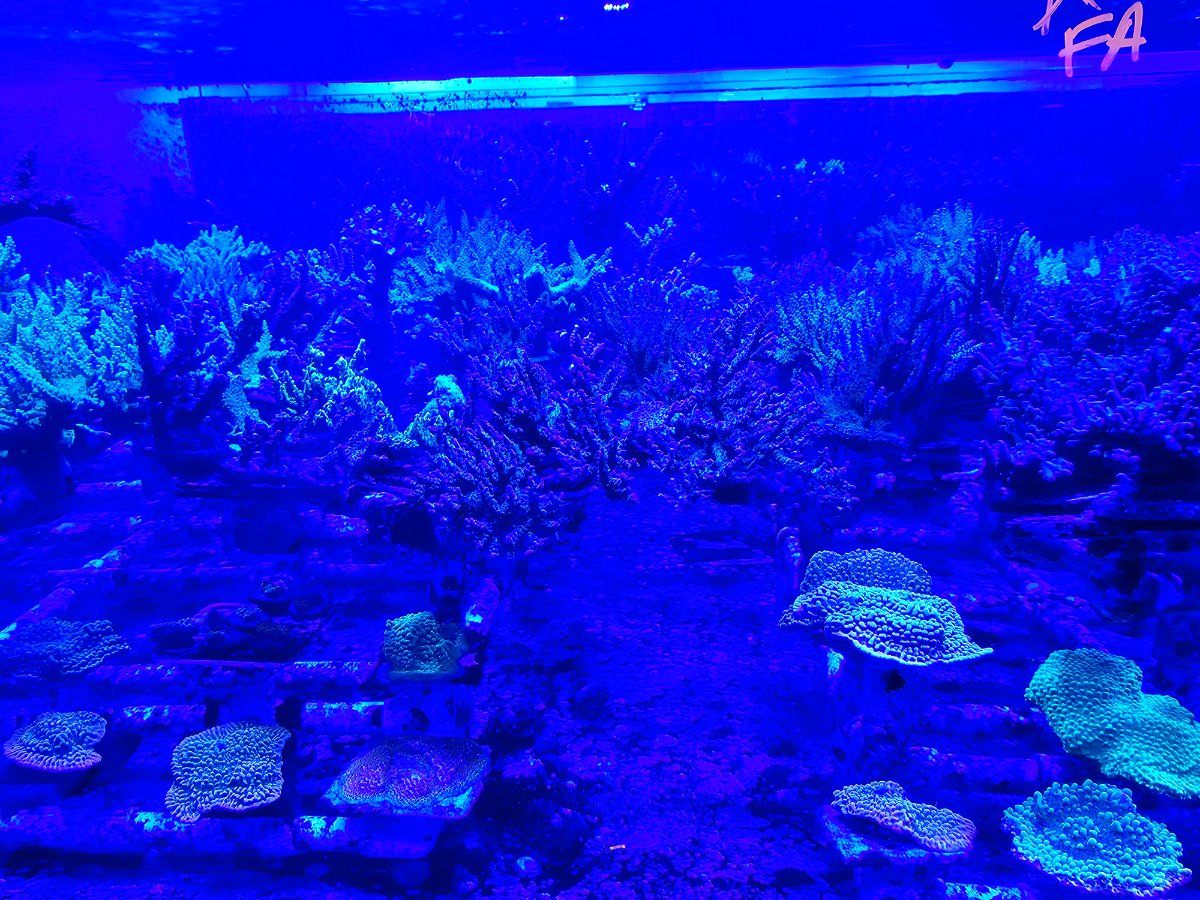 20250221_090652.jpg
