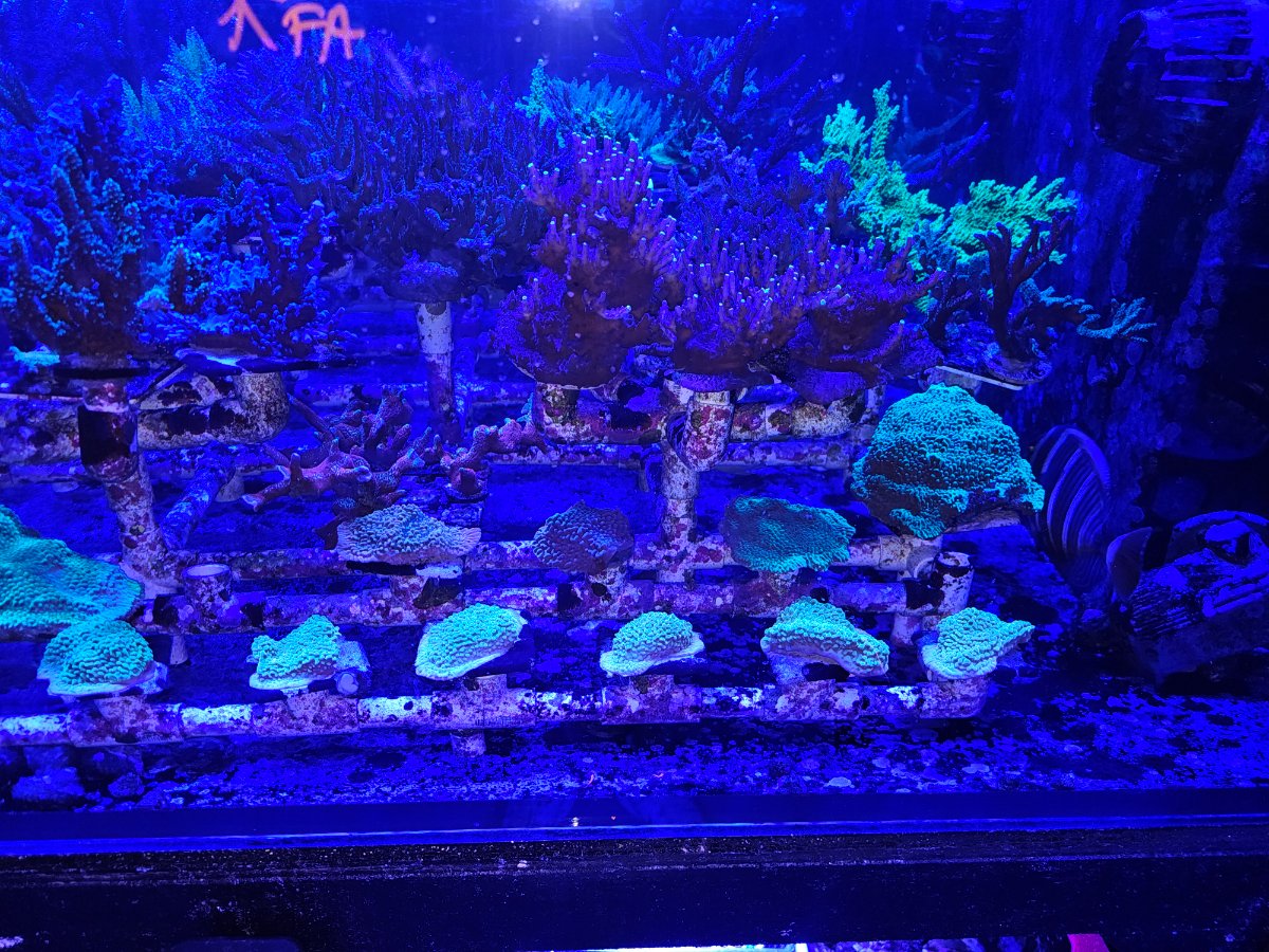 20250221_092122.jpg