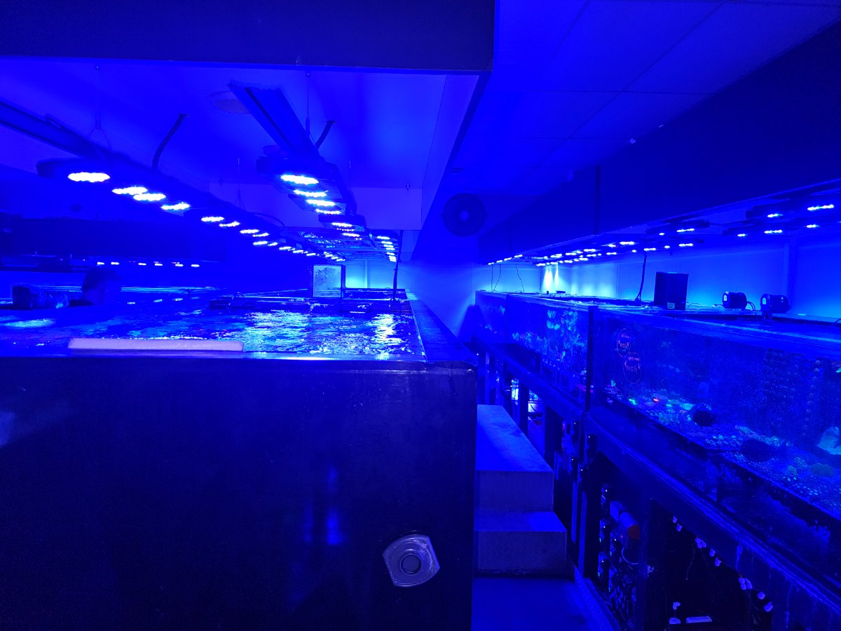 20250221_092804.jpg