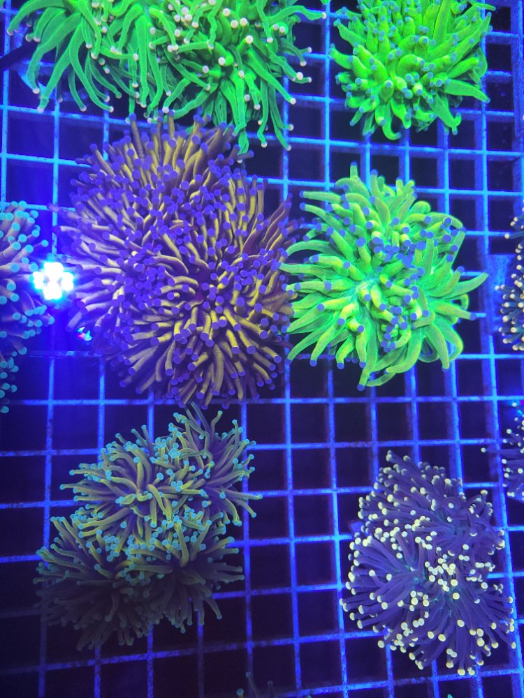 20250306_135159.jpg