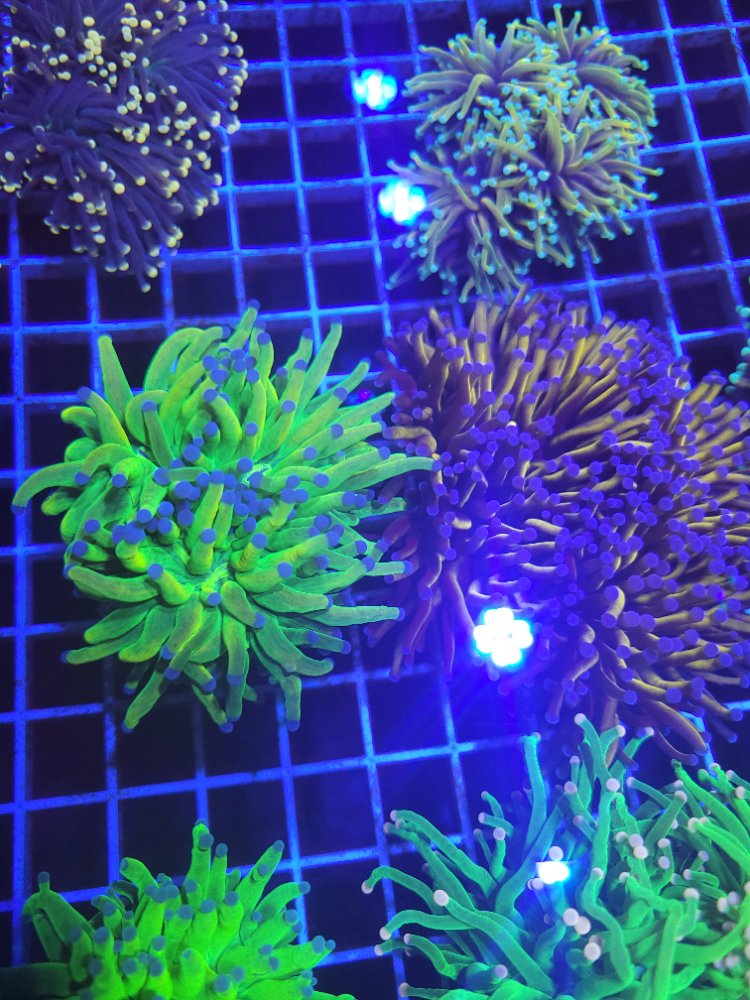 20250306_135326.jpg