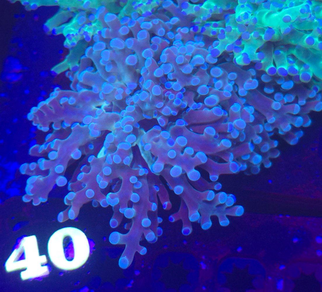 20250410_155918.jpg