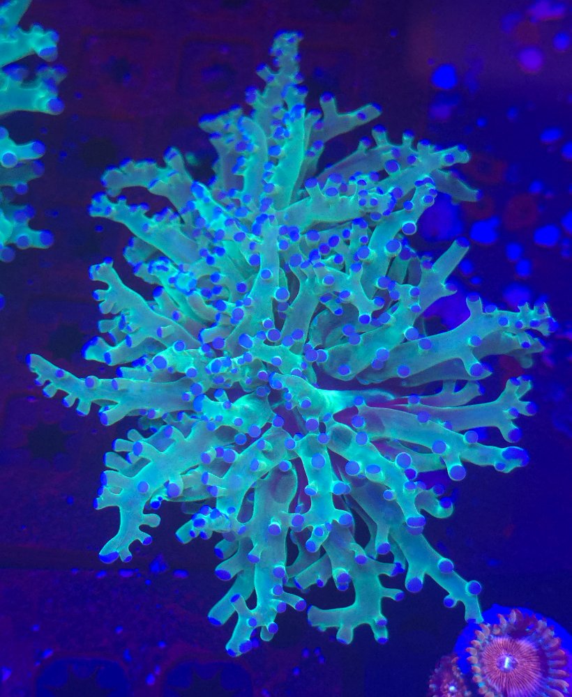 20250410_155922.jpg