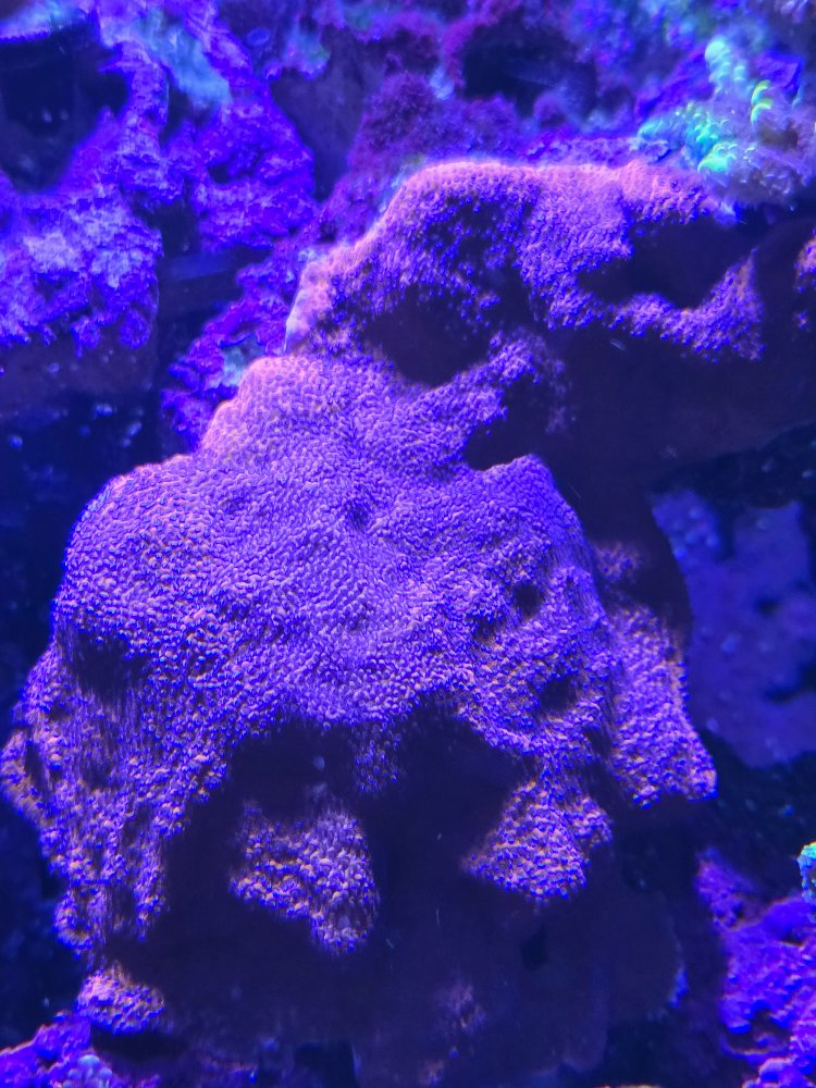 20250425_174554.jpg