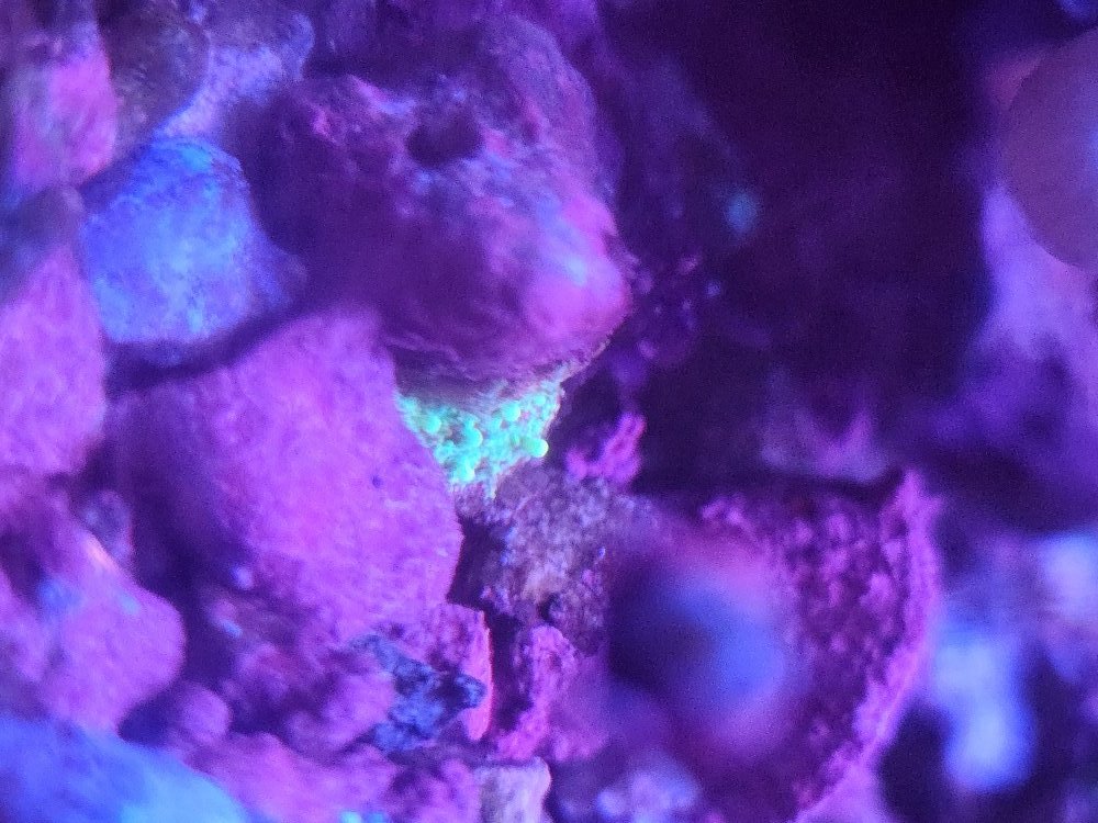 20250806_192133.jpg