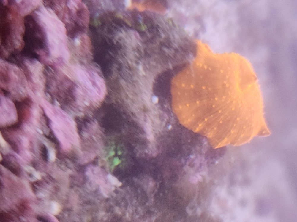 20250816_162456.jpg
