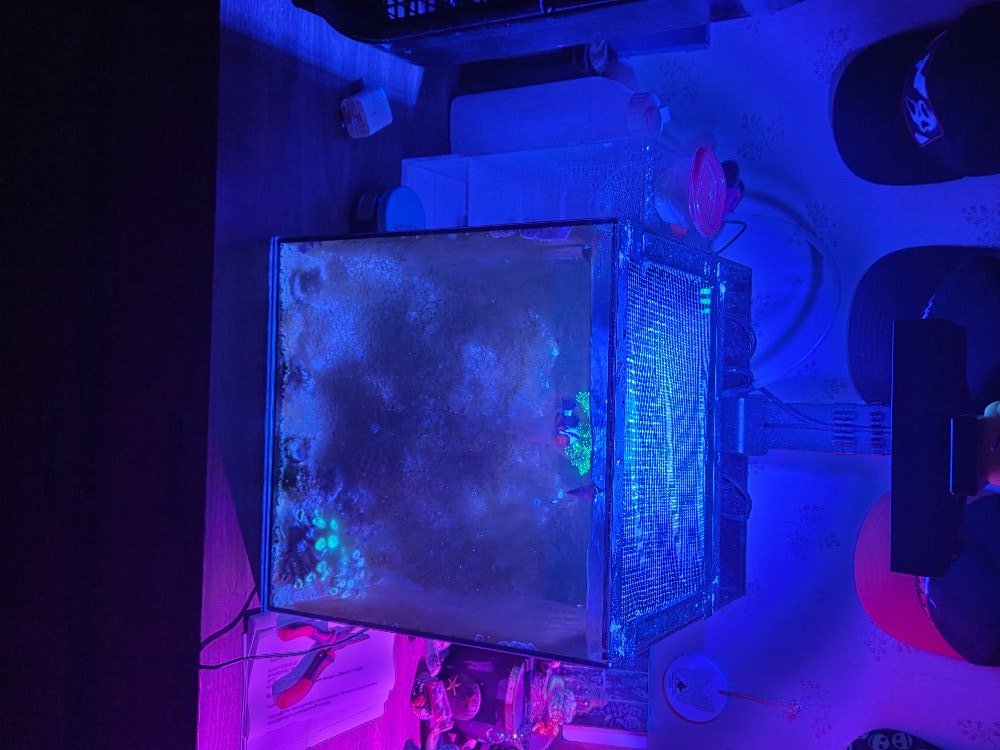 20250913_184341.jpg