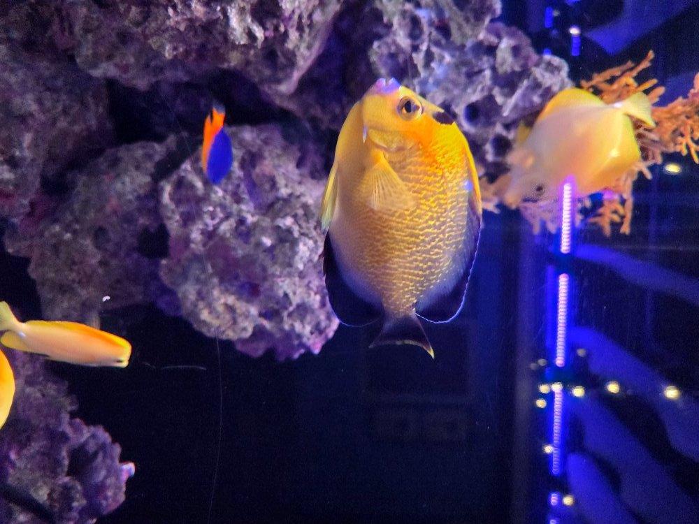 20251024_103531.jpg