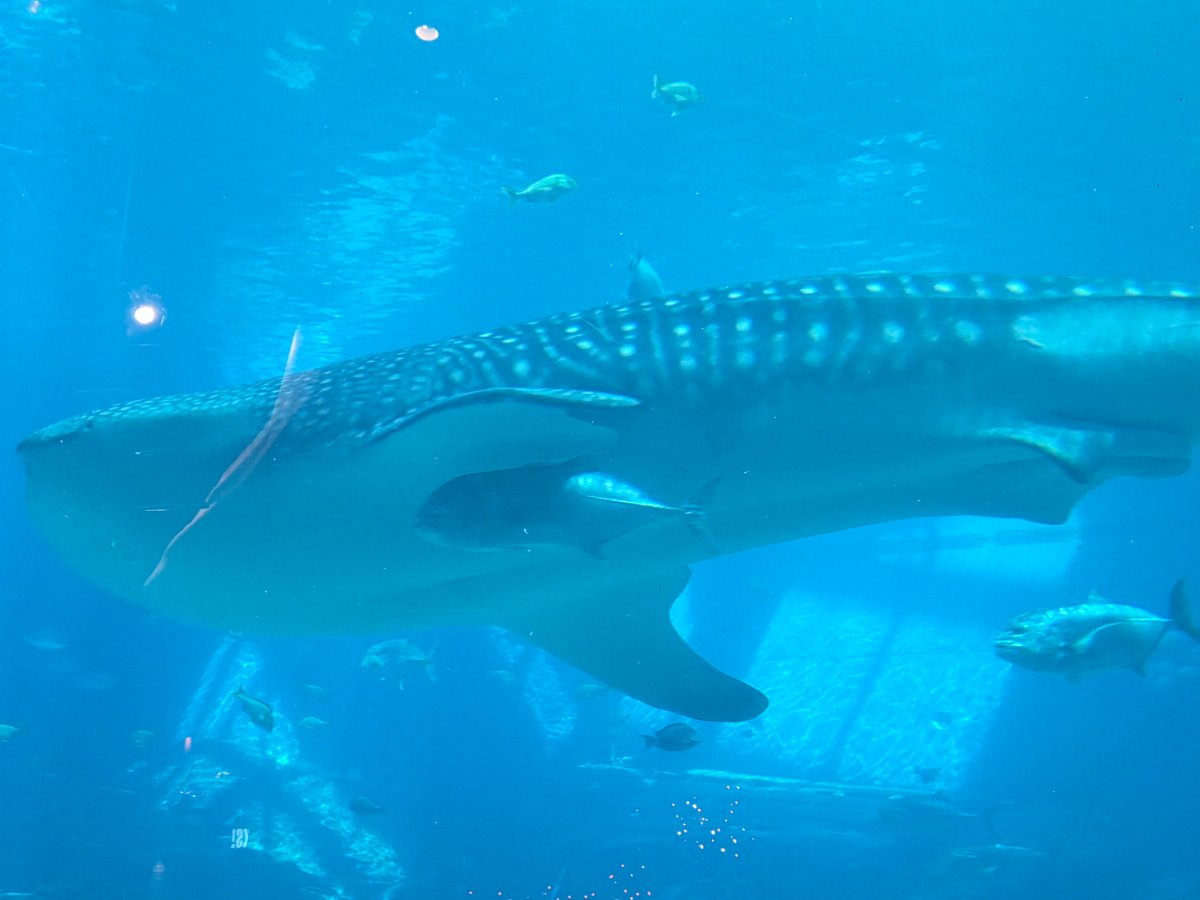 20251024_141856.jpg