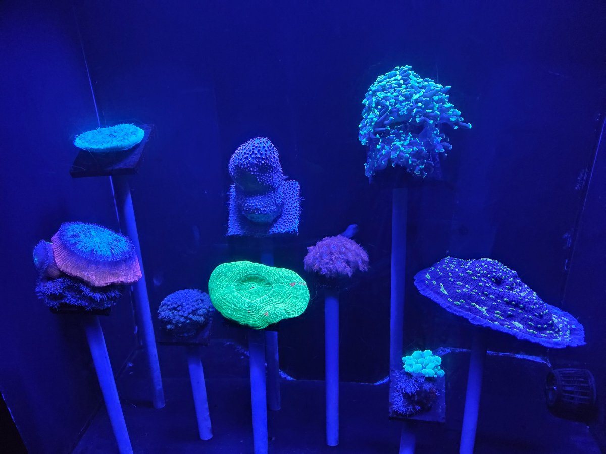 20251025_140513.jpg