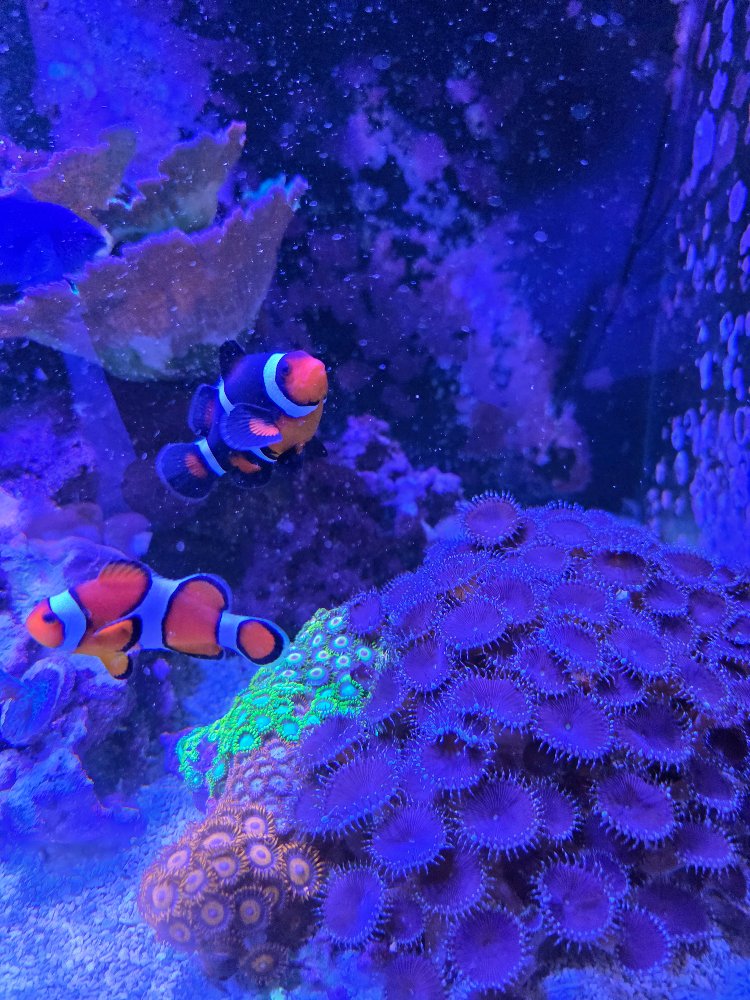 20260127_192545.jpg