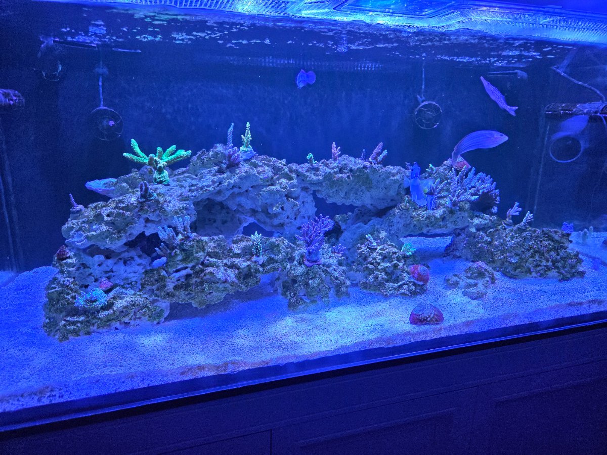 20260313_195538.jpg