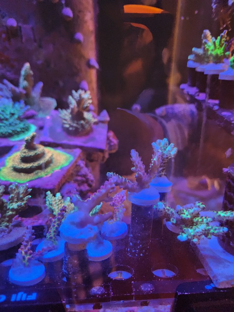 20260322_084532.jpg